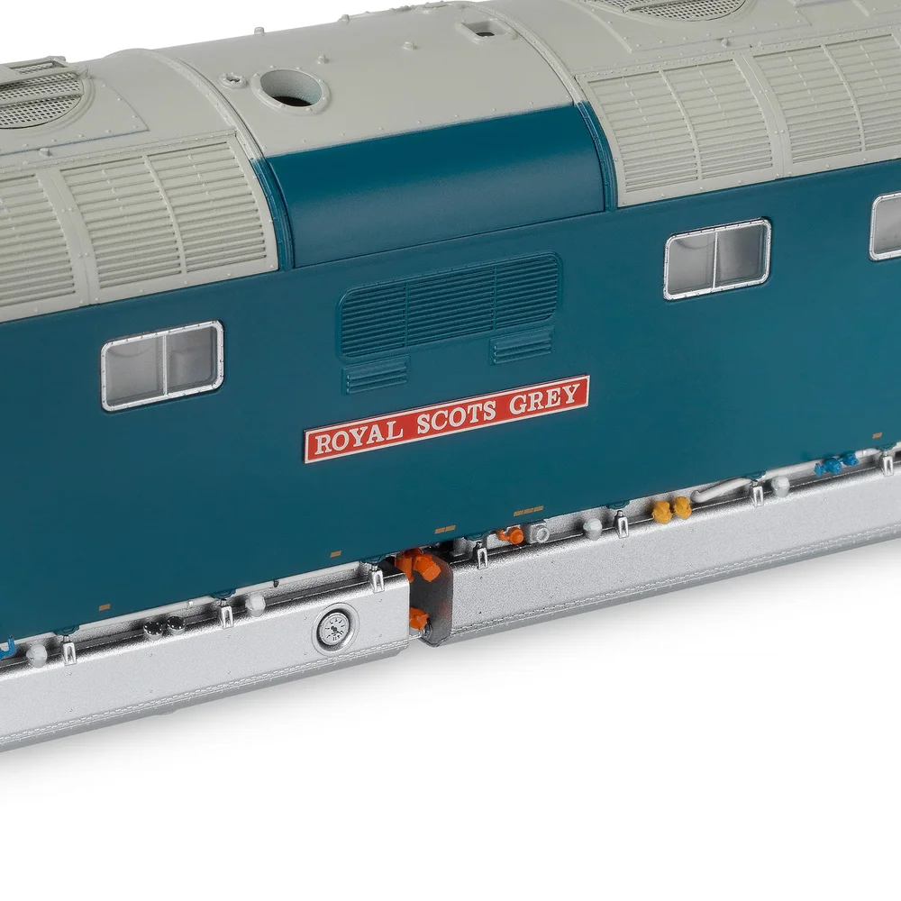 Accurascale Close up of nameplate