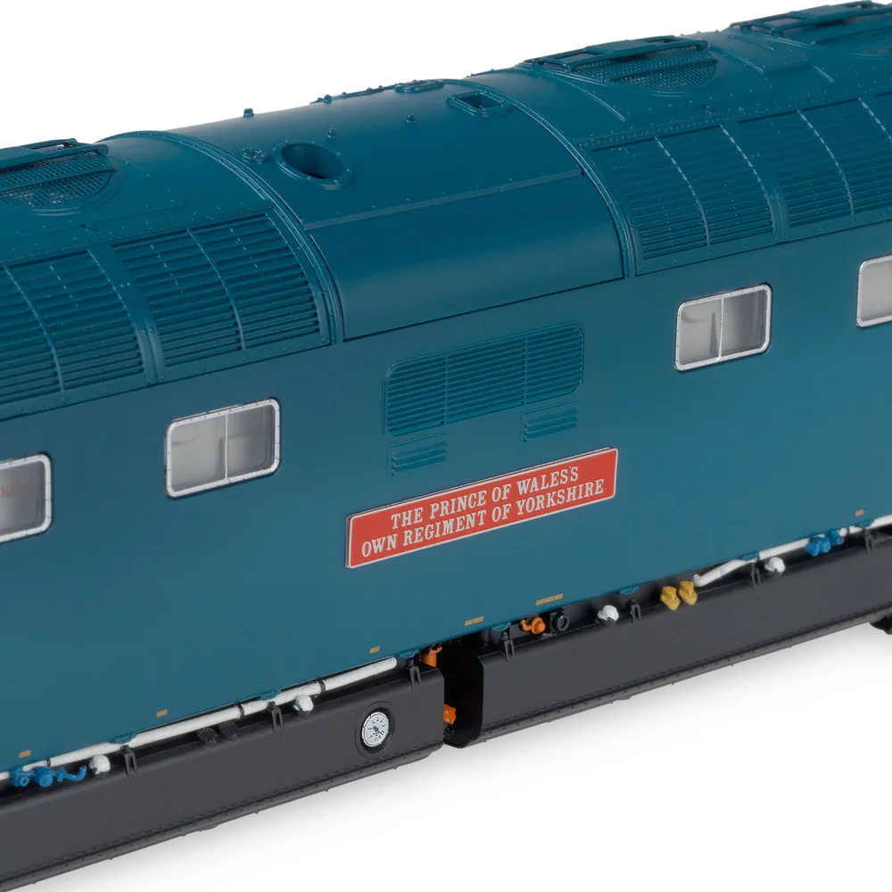 Accurascale Close up of nameplate