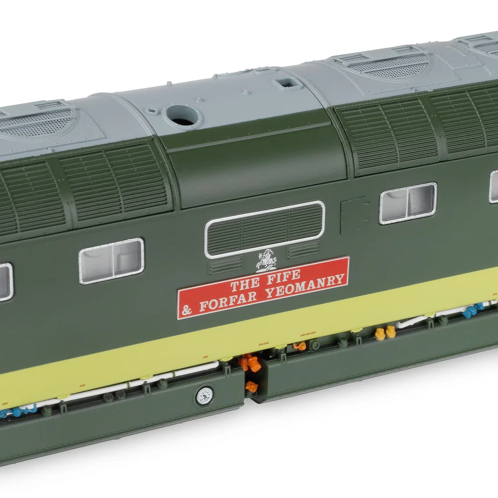 Accurascale Close up of nameplate