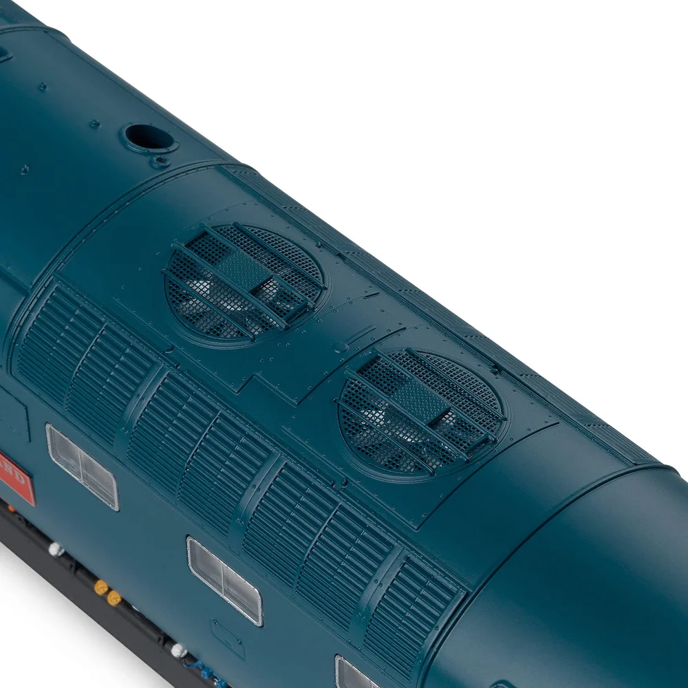 close-up-of-fan by Accurascale