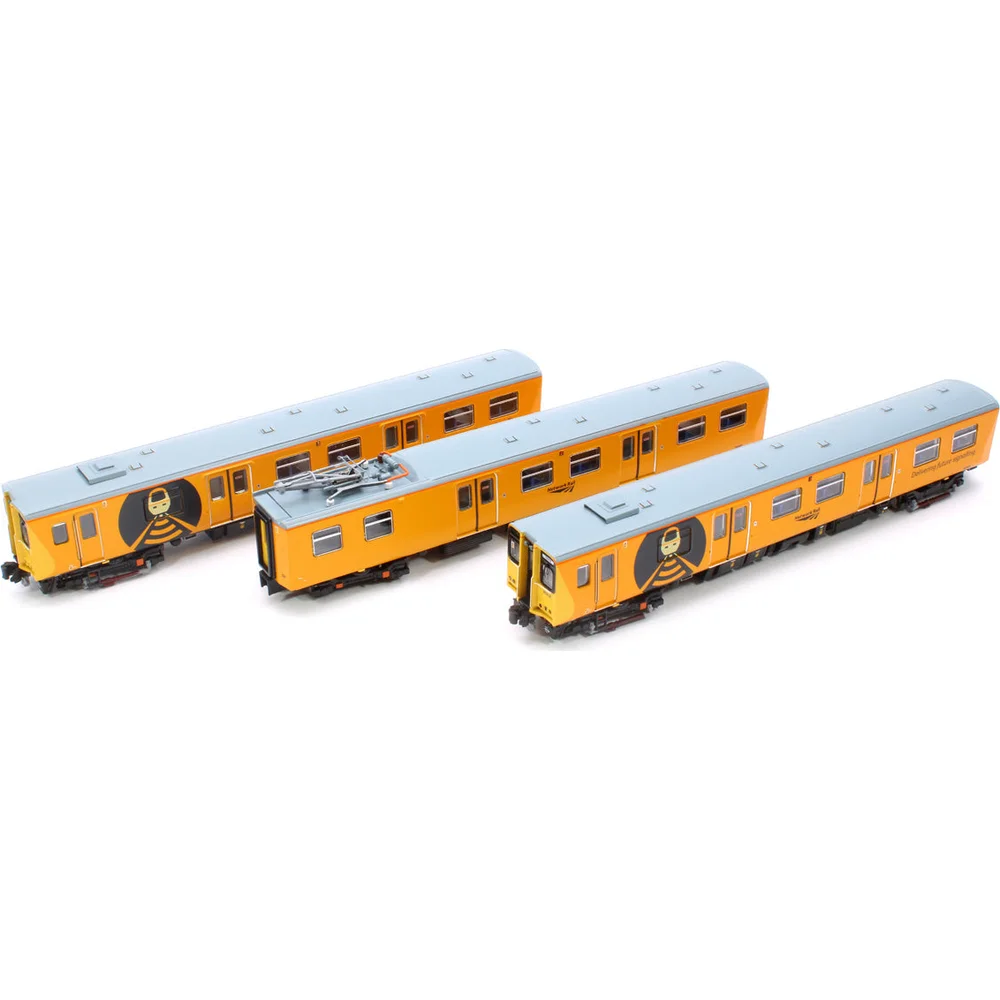 British Rail Class 313, Network Rail (Yellow)